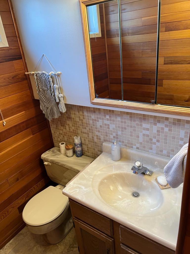 Homestay Elaissi House